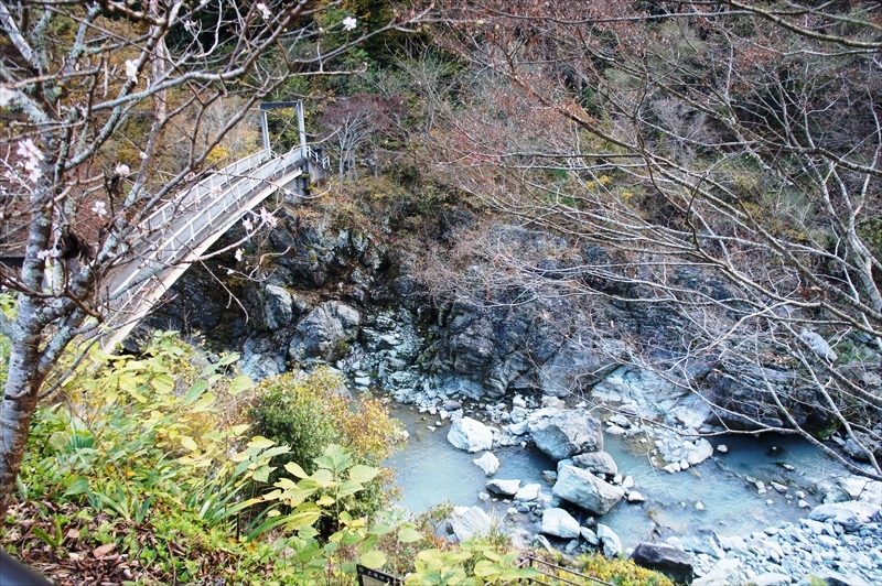 DSC01460_R