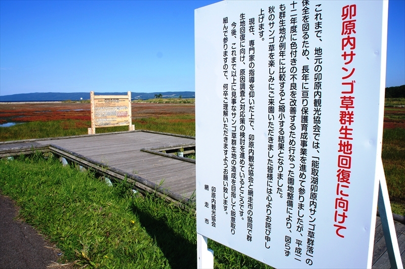 DSC00290_R