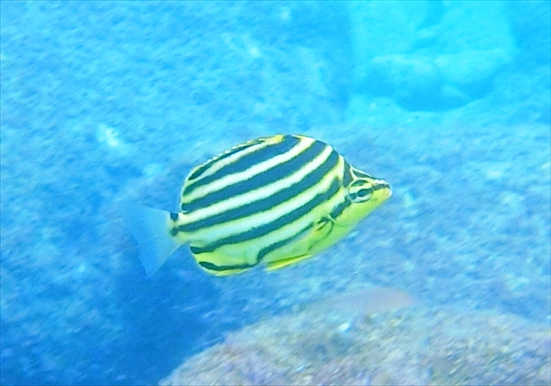 CIMG0489_R