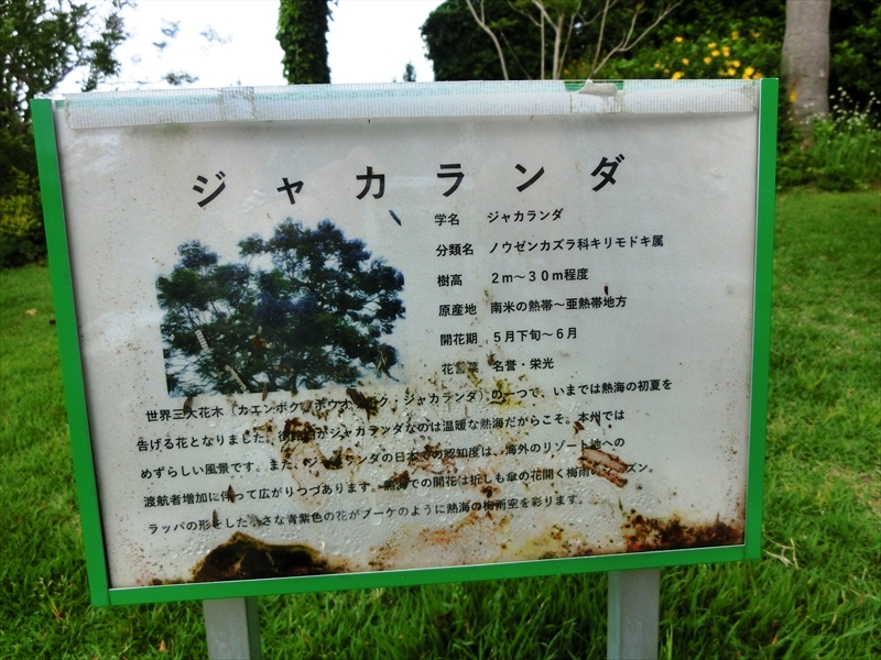 CIMG7979_R