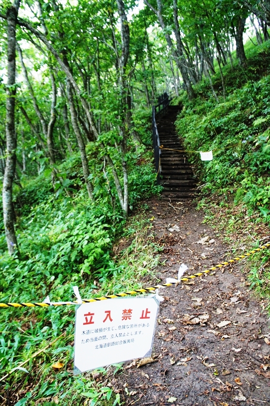 DSC00590_R