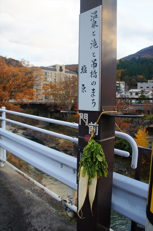 DSC01651_R