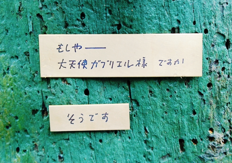 DSC00704_R