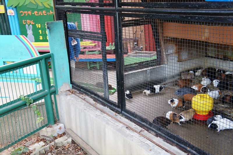 DSC01255_R