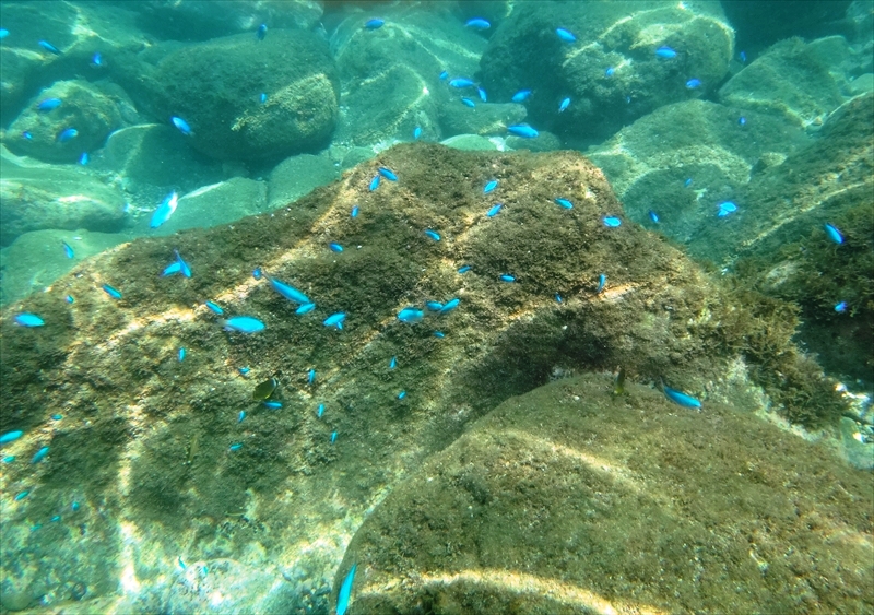 DSC03830_R