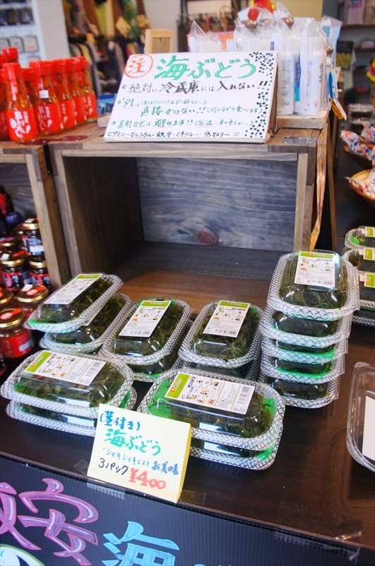 DSC00123_R