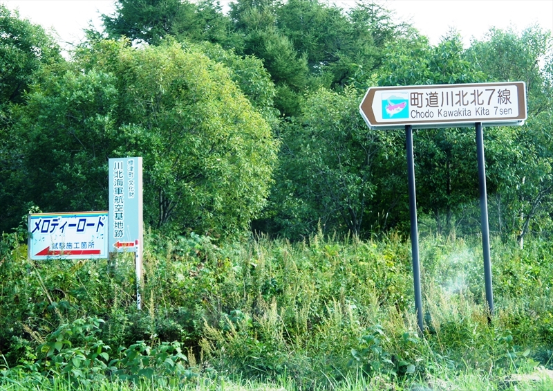 DSC01249_R