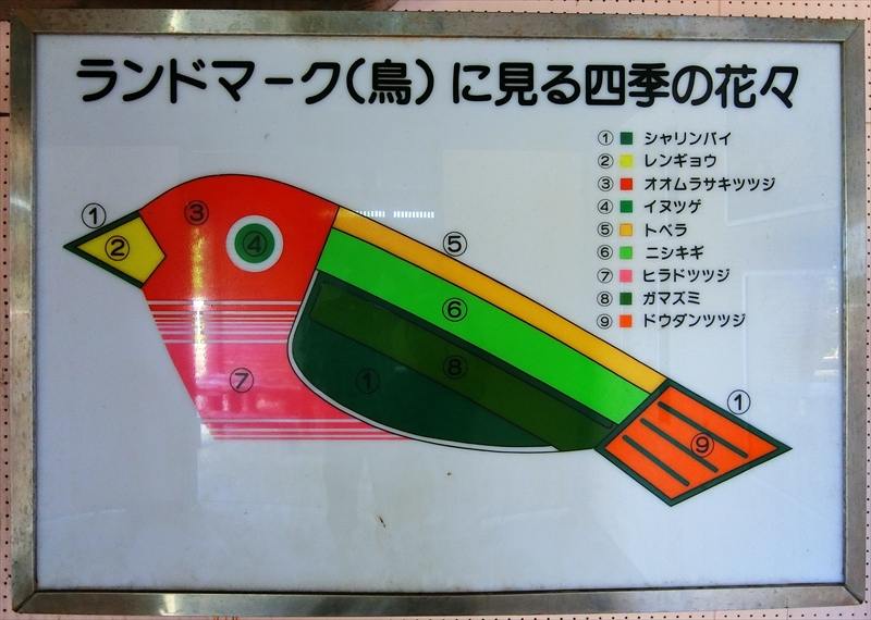 CIMG9518_R