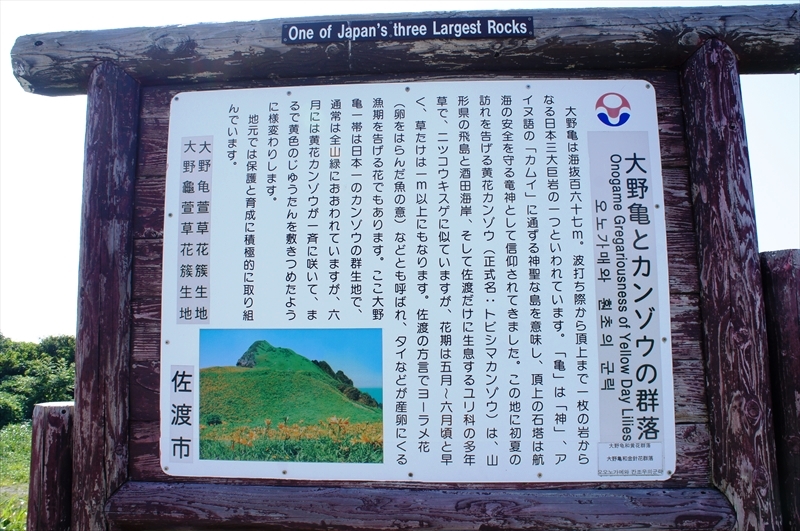 DSC05914_R