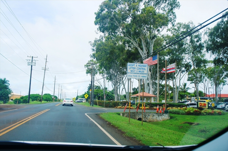 DSC00078_R