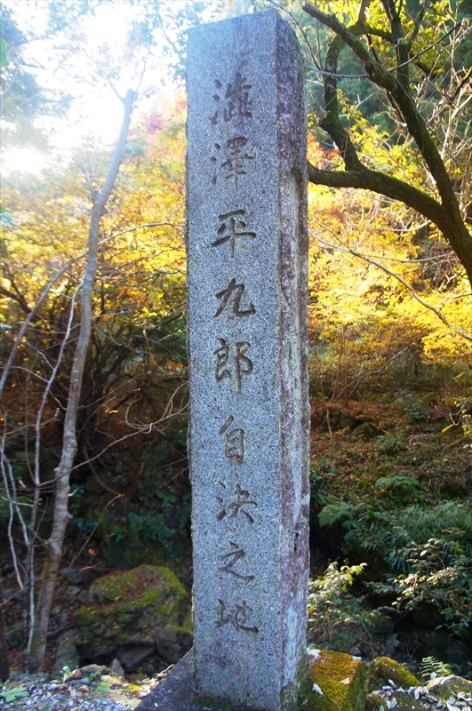 DSC01530_R