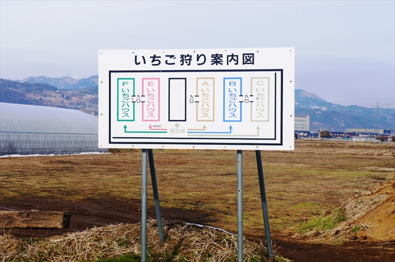 DSC00523_R