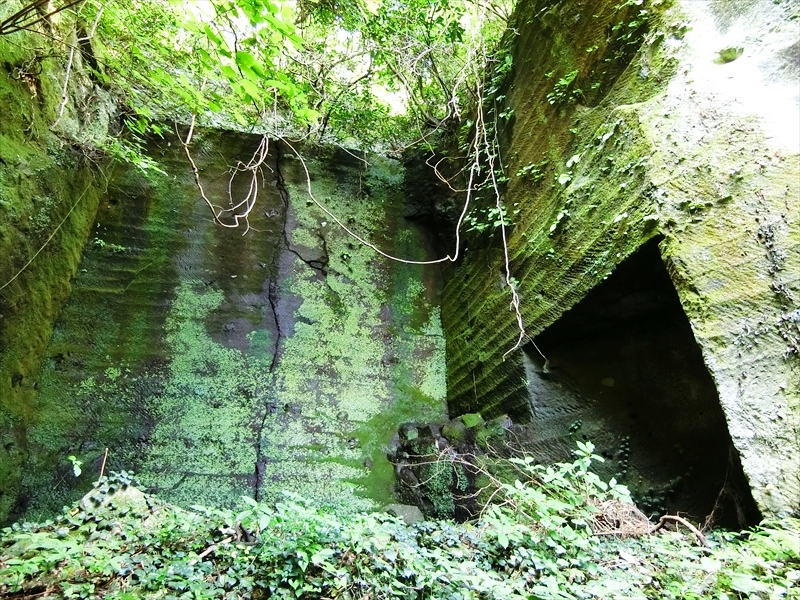 CIMG3158_R
