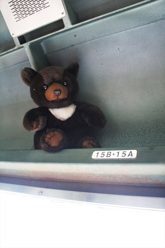 DSC00409_R