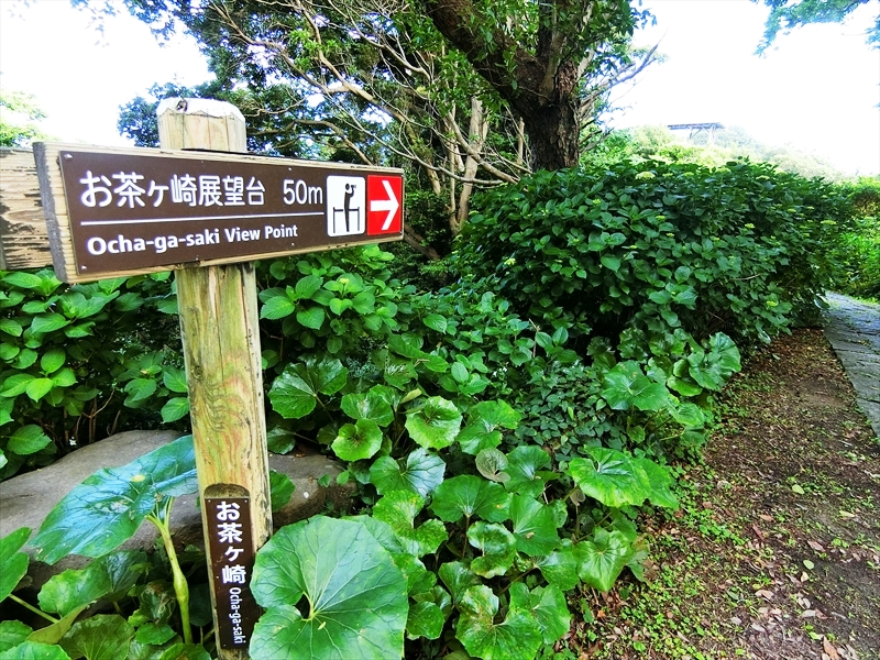 CIMG2890_R