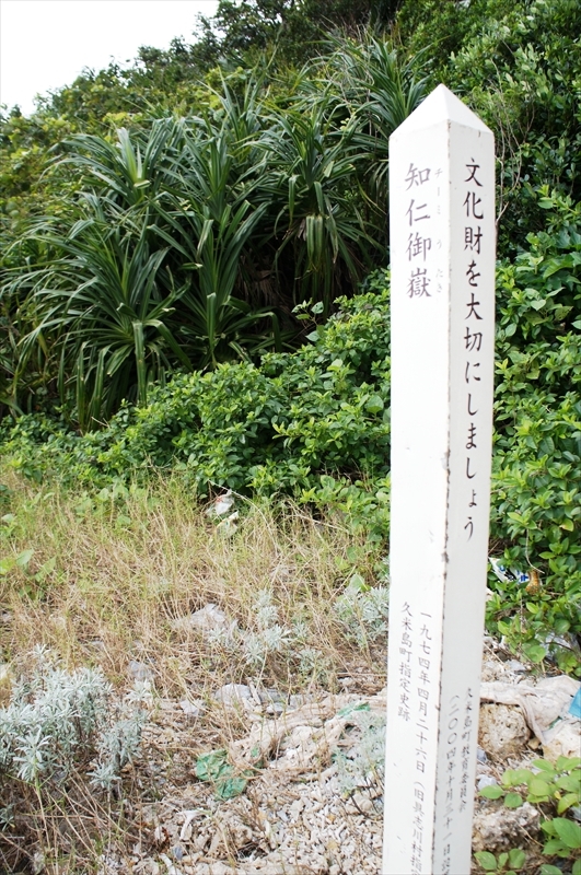 DSC02466_R
