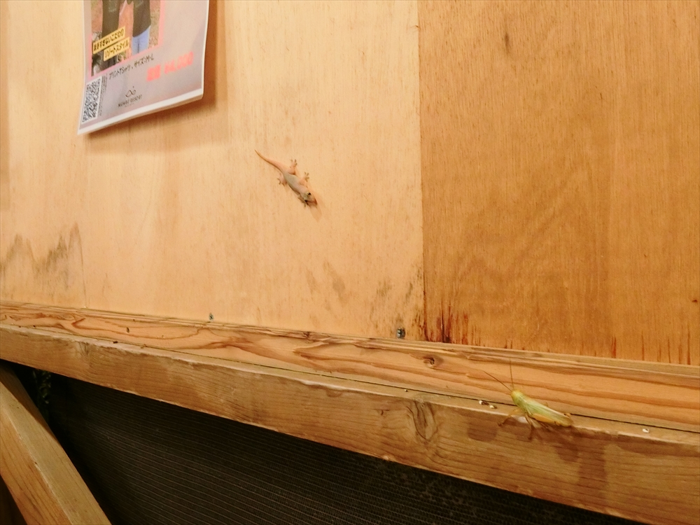 CIMG9008_R