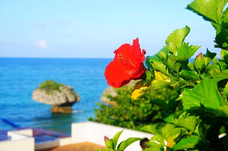 DSC00139_R