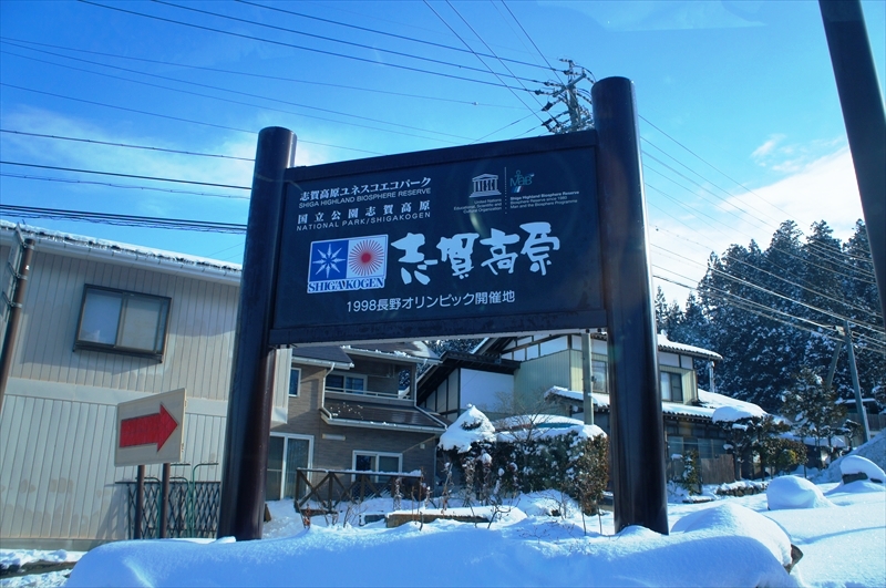 DSC00300_R