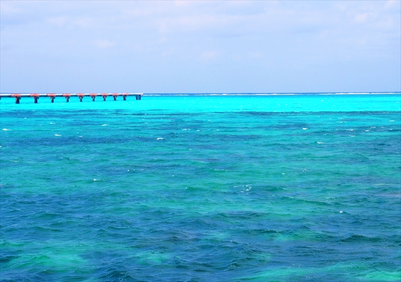 DSC00419_R