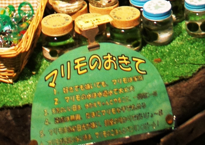 DSC00196_R