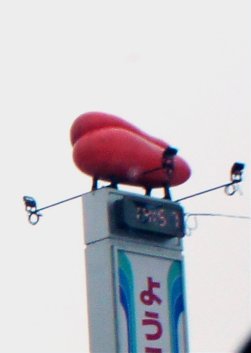 DSC00378_R