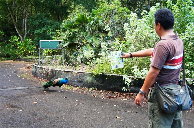 DSC08331_R
