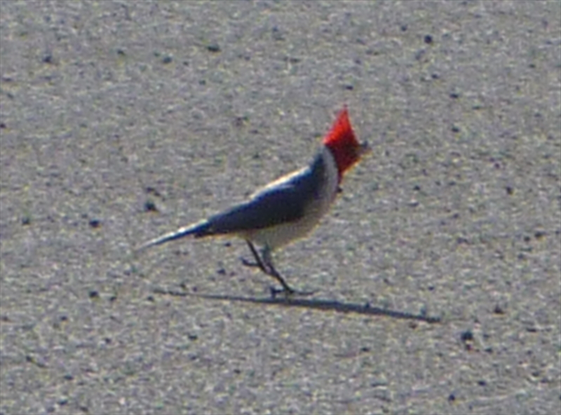 P1080666_R