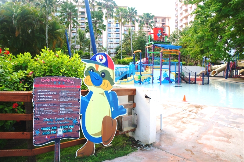 DSC00830_R