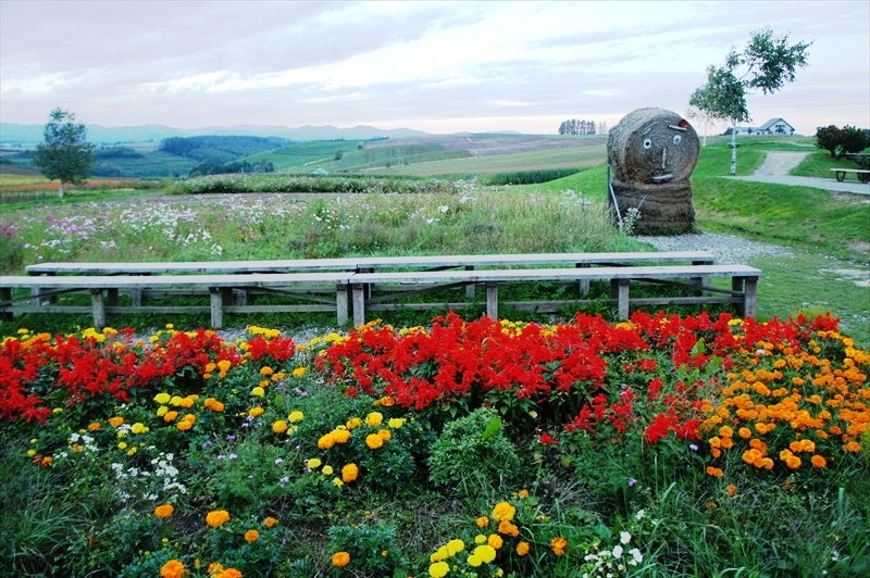 DSC00614_R