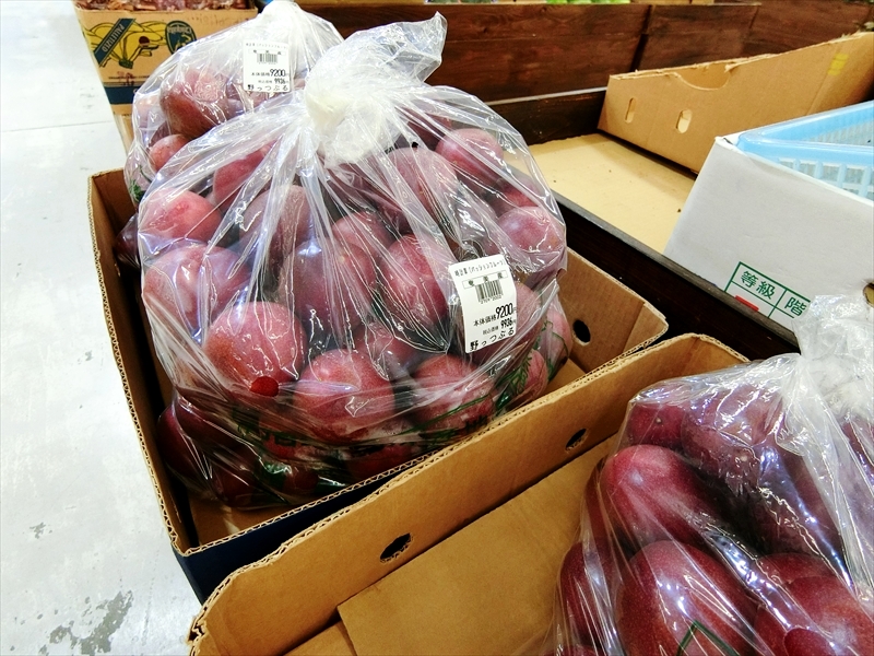 CIMG7008_R