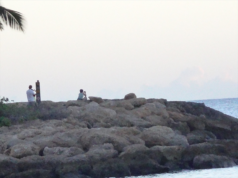 DSC03715_R