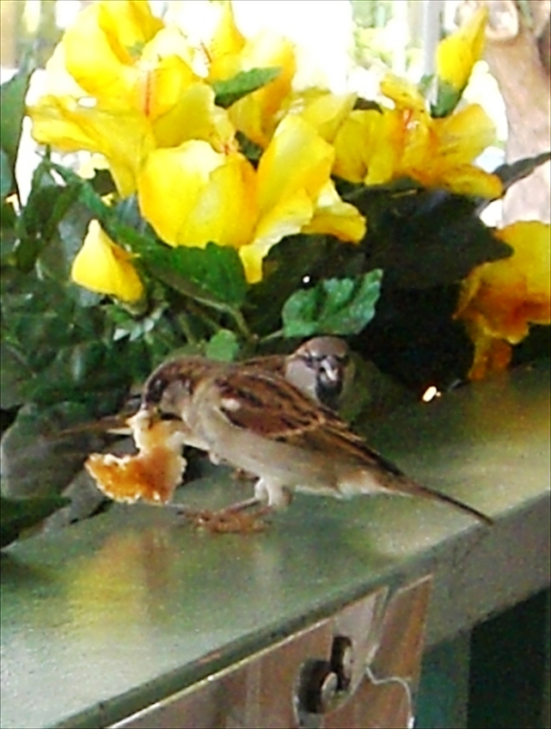 CIMG5680_R