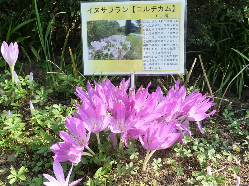 P1010496_R