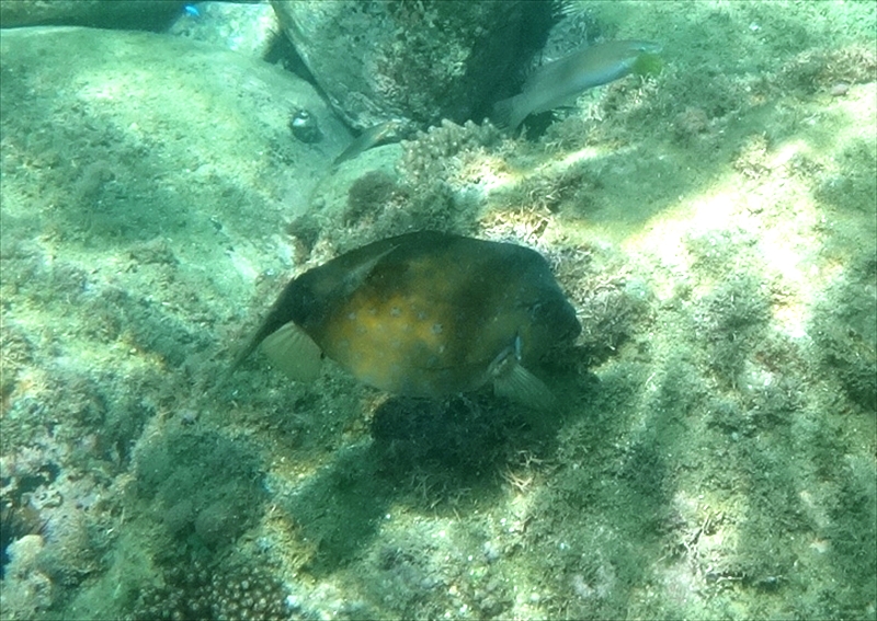 DSC07048_R