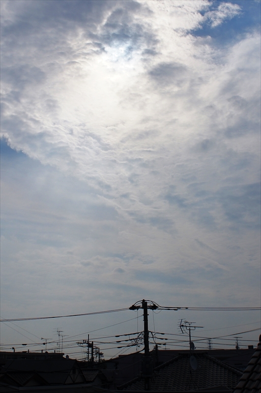 DSC04267_R