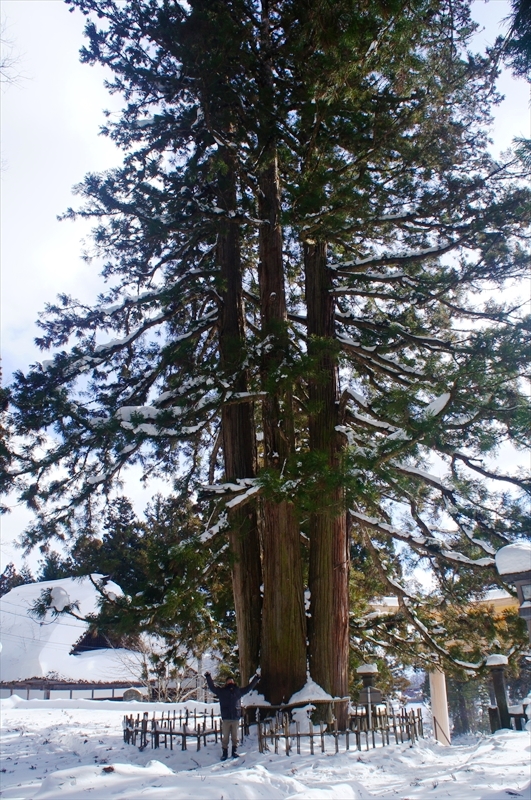 DSC00113_R