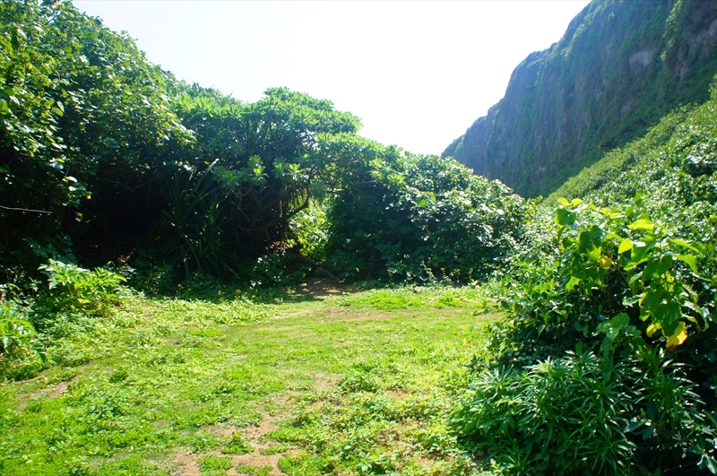 DSC00949_R