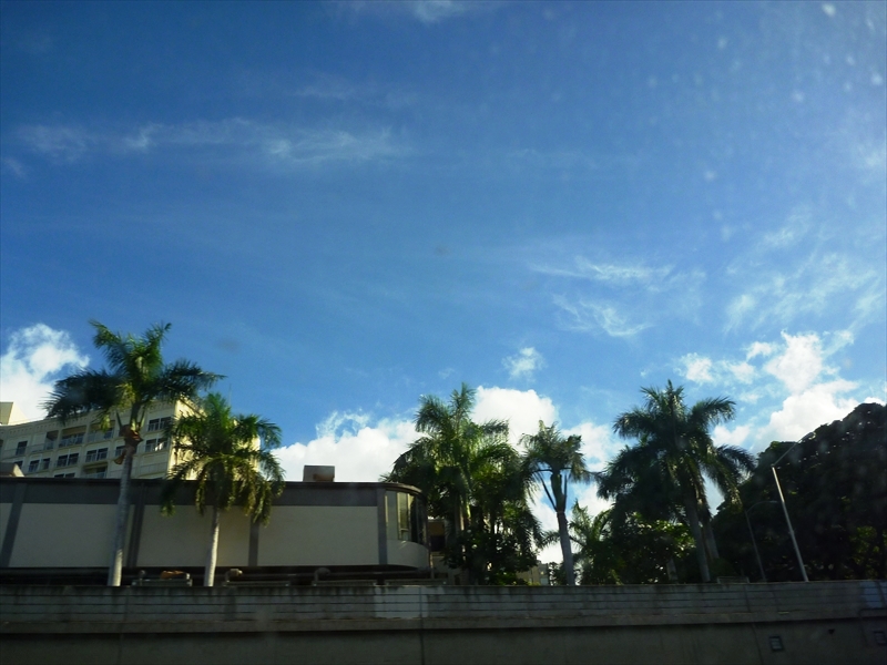 P1080167_R
