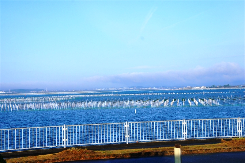 DSC00311_R