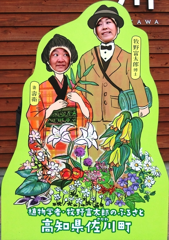 CIMG6184_R