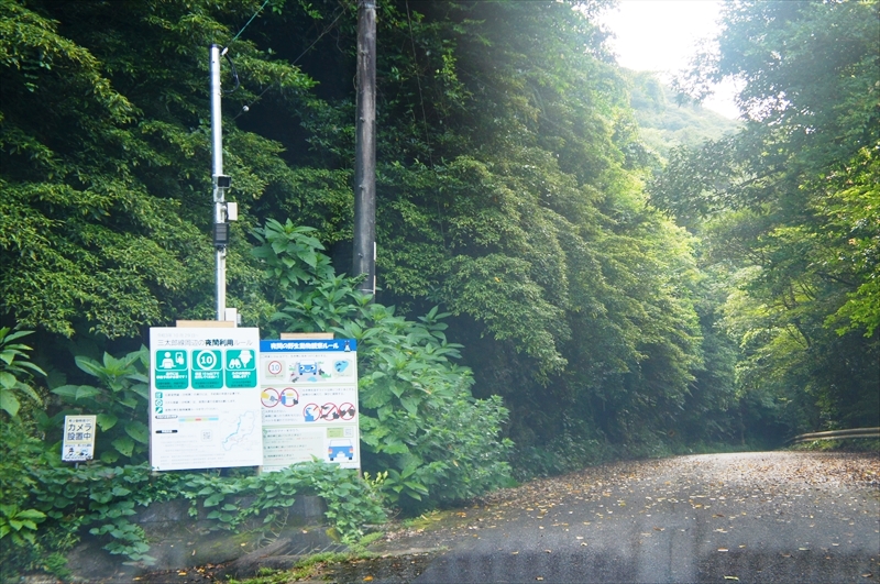 DSC00461_R