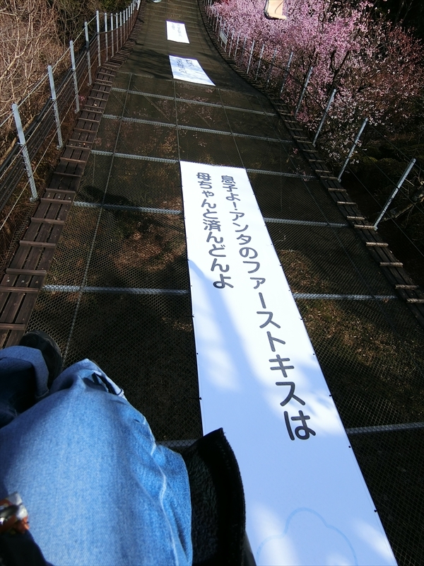 CIMG7311_R