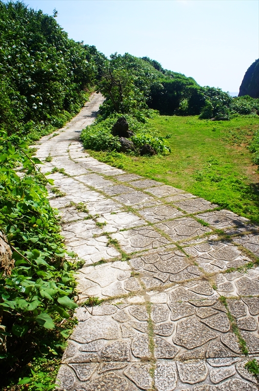 DSC00950_R