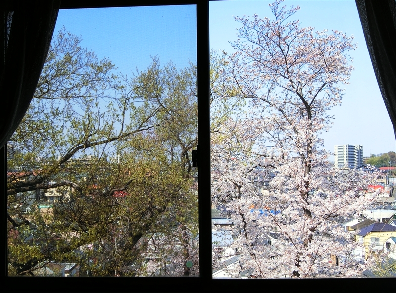 CIMG0130_R