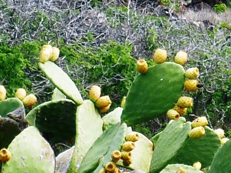 P1090617_R
