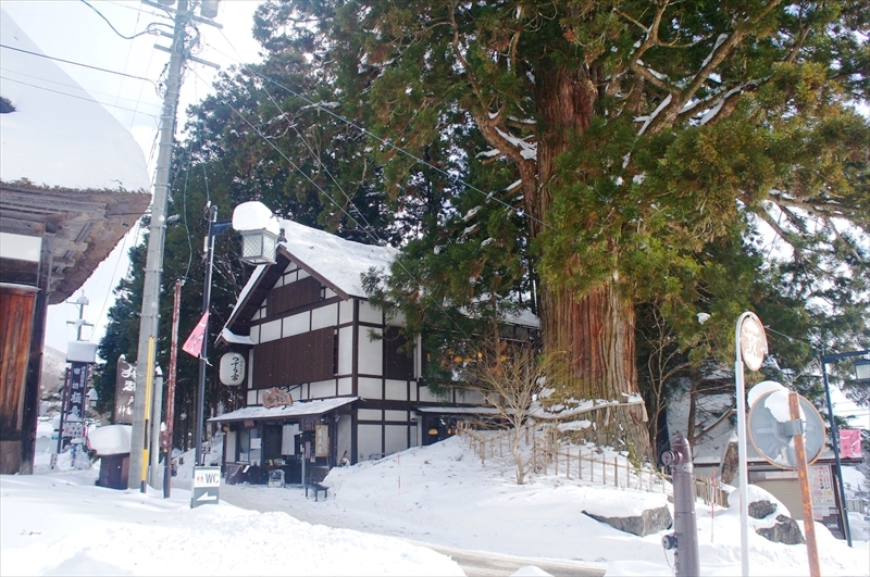 DSC00135_R