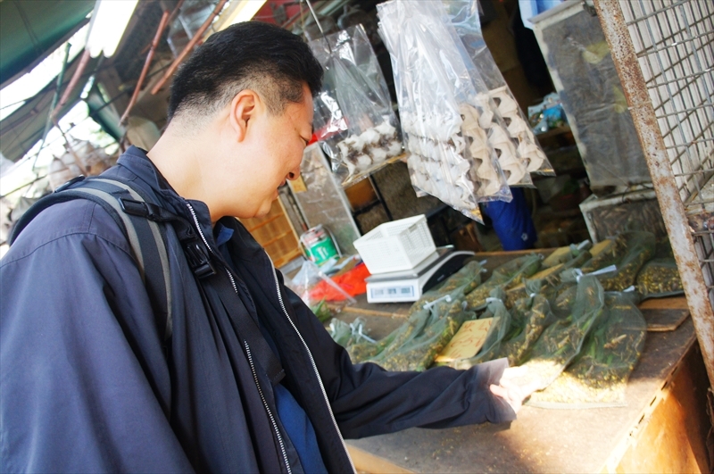 DSC00804_R
