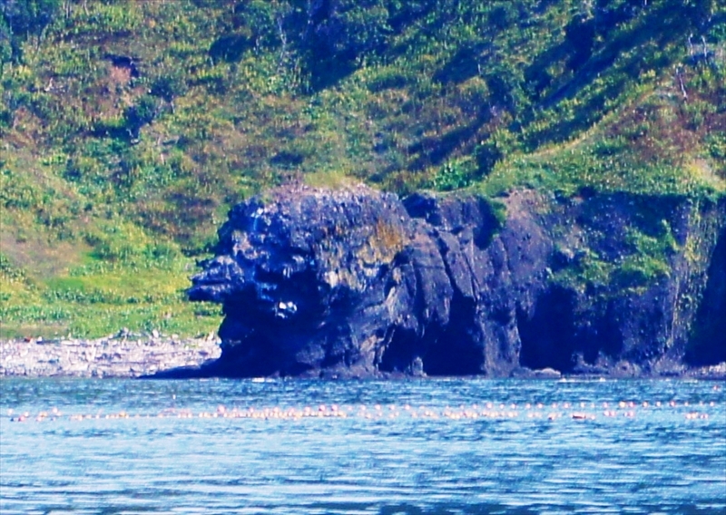 DSC00653_R
