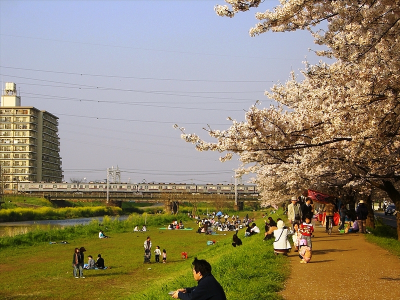 CIMG3118_R
